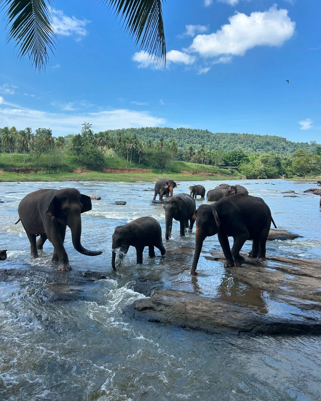 Sri Lanka 16
